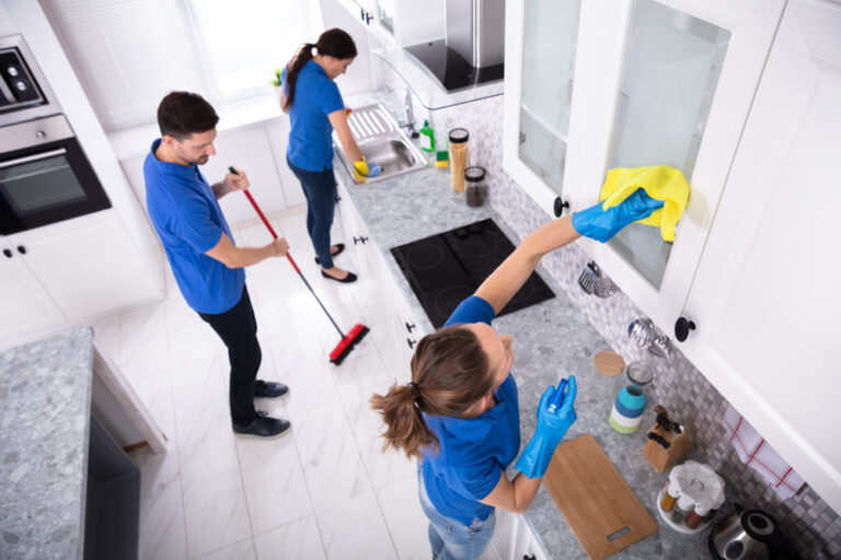 Professional House Cleaning Services